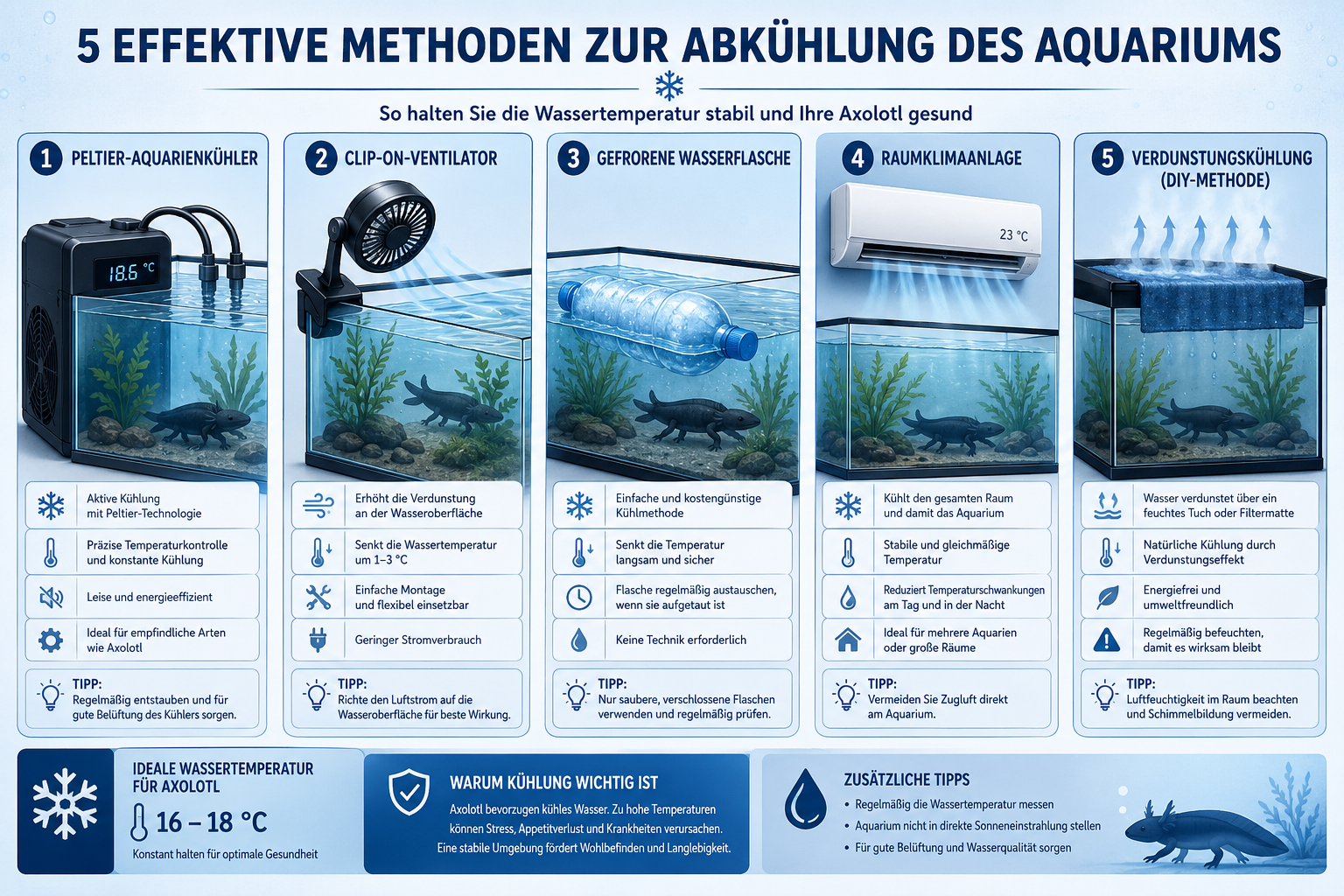 Axolotl-Aquarium kühlen: Die besten Methoden für den heißen Sommer 1 Detailed () infographic-style illustration showing five different aquarium cooling methods side by side: a Peltier aquarium