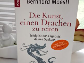 Die Kunst, einen Drachen zu reiten (Buchkritik)