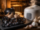 Fermentierter Knoblauch (Black Garlic) aus dem heimischen Reiskocher