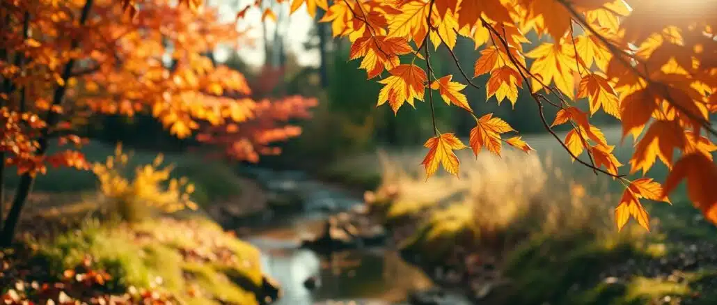 Herbstliches Vermögen