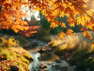 Herbstliches Vermögen
