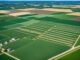 Landwirtschaftliche Flächen pachten