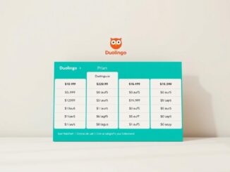 Was kostet Duolingo?