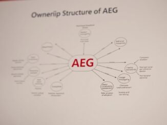 Wem gehört AEG