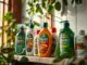 Wem gehört Palmolive
