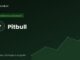 uamr grafik pitbull