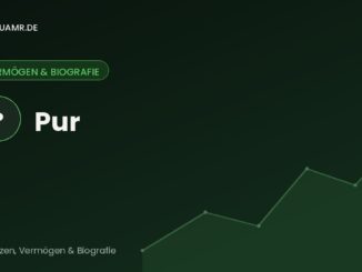 Pur – Biographie und Karriere