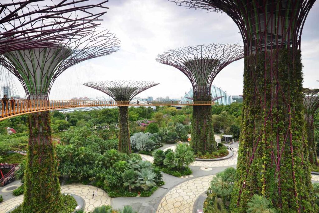 Singapur - die Stadt im Garten 4 Supertrees in Singapur