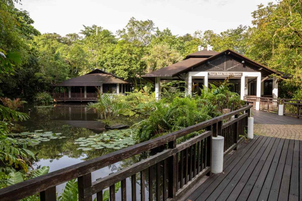 Singapur - die Stadt im Garten 6 Sungei Buloh Wetland Reserve