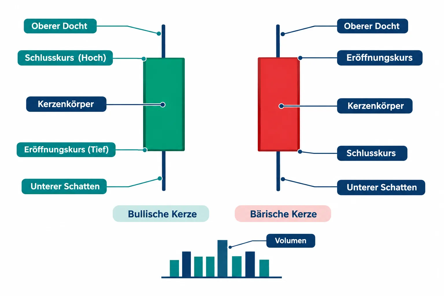 Aktiencharts lesen für Anfänger: Candlesticks, Trends, Volumen und Unterstützungsniveaus 1 Was ist eine Candlestick auf einem Aktienchart und was bedeuten die Farben?