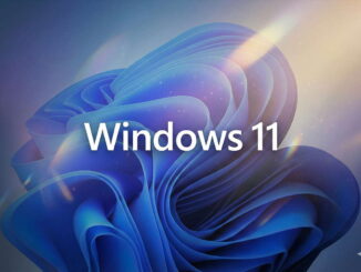 windows 11